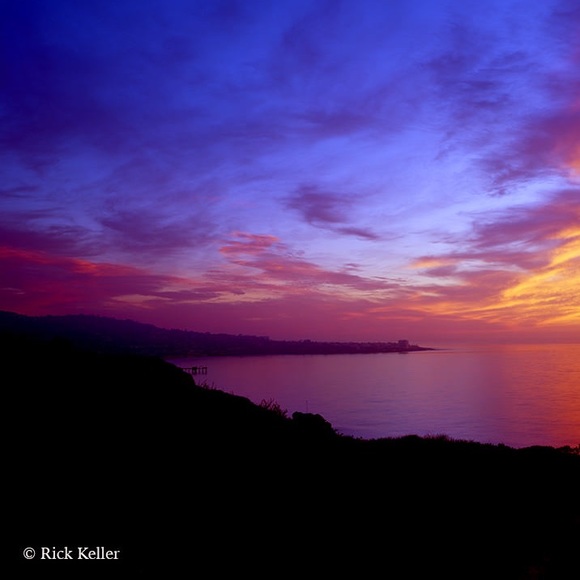 Meet your Posher, Allie - Picture 1 of 1